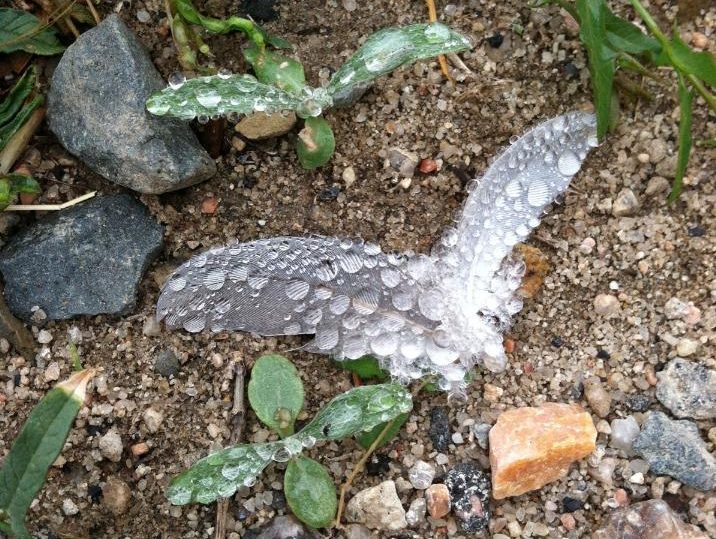 The Best is Yet to&nbsp;Come.